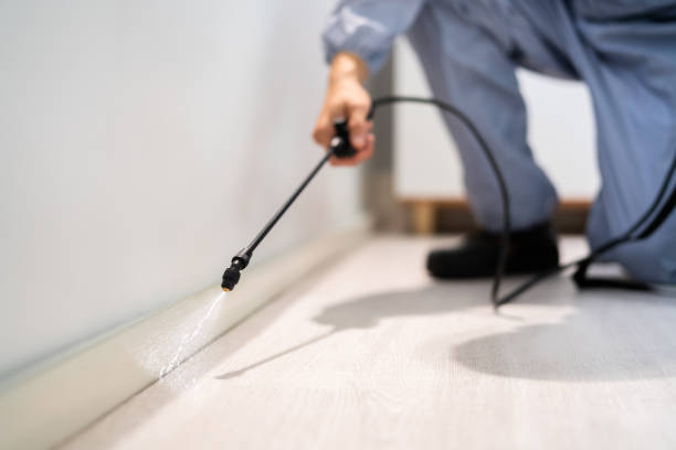 Licensed Termite Control service in Troy, MI - Show Me Pest Control